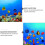 25Pièces En Décor Aquarium Miniatures 10