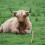 Dog Tie Down Stake Stake Iron Cattle Ranching 1set 5