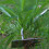 Durable Manual Hand Weeder Tool for Garden Use Silver 6