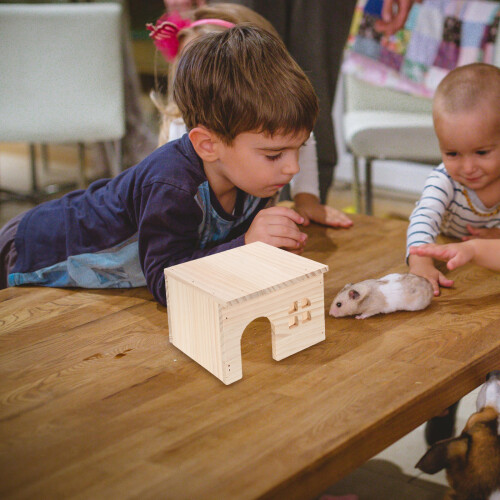 Hamsterklimhuis Multifunctioneel En 2