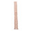 Watch Replacement Strap Watch Watchband Rose Gold 1