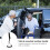 Portable Handles Car Support Tool Elderly Standing Aid Travel 11