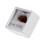 Science Classroom Specimens Irregular Stone Multi 1pack 5