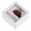 Science Classroom Specimens Irregular Stone Multi 1pack 8