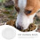 Kitten Feeding Bowls Paper Cat Bowls 20pack 8