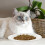 Kitten Feeding Bowls Paper Cat Bowls 20pack 11