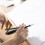 Compact School Sketch Wiping Tool for Daily Use 9