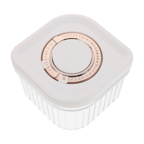Airtight Rice Container Transparent Abs Square For Salt 1 Pcs