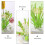 Pacifier Storage Rack Green Pp 1pcs 10