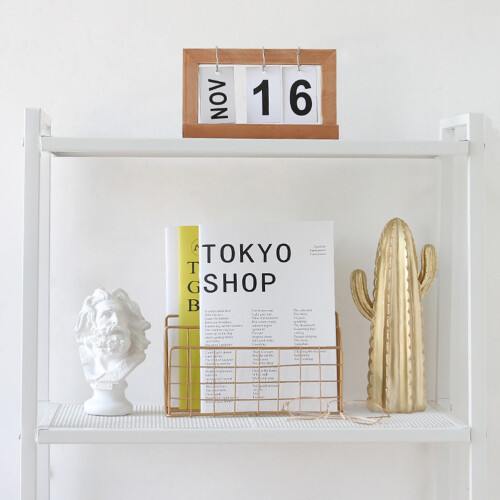 Worgeous  Home Magazine Storage Rack Organization Book Organizer 2