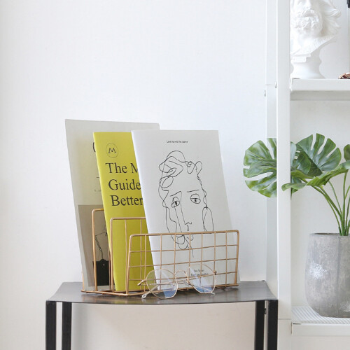 Worgeous  Home Magazine Storage Rack Organization Book Organizer 1