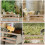 Chicken Brooder Perch Wooden Chicken Coop Toy 2pcs Outdoor Use 9