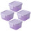 Food Storage Containers Purple 4pcs 2x2in 2