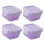 Food Storage Containers Purple 4pcs 2x2in 8