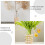 Cup Sleeve For Cups Beige Straw 4pcs 6