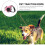 Automatic Traction Device Long Pet Leashes Dog Training Puppy Rope 11