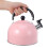 Kettle Teapot Stovetop Pink 1pack 4