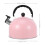 Kettle Teapot Stovetop Pink 1pack 3