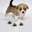 6pcs Pad Holder Wall Pee Pad Holder Clear Dog Potty Training 4