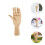 Hand Figure Home Decoration Flexible Fingers 4