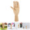 Hand Figure Home Decoration Flexible Fingers 3