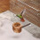 Parrot Bird Stand Wooden Perch Multi 1pack 3