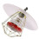 Chicken Coop Accessories Heating Lamp White 1pc 8