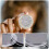 100St Duidelijke Plastic Muntkoffers Muntcapsules 8