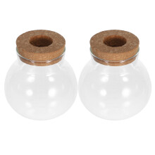 2pcs Compact Glass Propagation Vases For Home And Office Plants