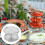 seafood-teller snackteller speiseteller restaurant silber 6