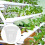 12 Pcs Hydroponic Growing Cup Planting Mesh Garden Containers 4