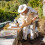 Kits Supplies Beekeeping Tool Set 35.00x8.50x2.00cm 8