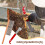 Kits Supplies Beekeeping Tool Set 35.00x8.50x2.00cm 4