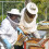 Kits Supplies Beekeeping Tool Set 35.00x8.50x2.00cm 6