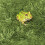 Décoratif Reptile Vert Olive En Coton Support Confortable 9