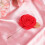 Rose Shape Fabric Brooch For Suits And Jackets Stylish Decor 10