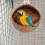 Vogelhuisje Nest Bruin 5