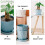 Planter Simple Plastic Flower Pot 4pcs 5.4x5.4x4.9in 10