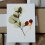 Pressed Flower Tools White Paper 10 Lining Papers 5.50x5.50in 7