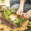 Decorative Wood Branches Versatile Decoration Twigs 6