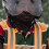 Shark Electric Scooter Visor Uv Protection Removable Wind 4