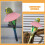 4Pcs Soft Multi Bird Collar Parrot Anti Bite Recovery Cone Protection 7