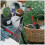 How Small Hand Hoe Agriculture Tool Red Gardening 10