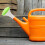 Watering Can Nozzle Plastic Bottle Sprayer Portable Cap Sprinkler 4