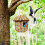 Decorative Bird Houses Jute Cord 3pcs 5