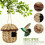 Decorative Bird Houses Jute Cord 3pcs 6