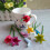 Wine Glass Tags Silicone 6pcs 12 X 4 X 3cm 5