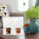Acrylic Cd Display Easel Base Picture Frame 1set 7