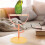 Desktop Bird Perch Plastic And Wood Orange Rack For Birds 1pack 6