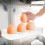Egg Racks Transparent Plastic 4 Pcs 10